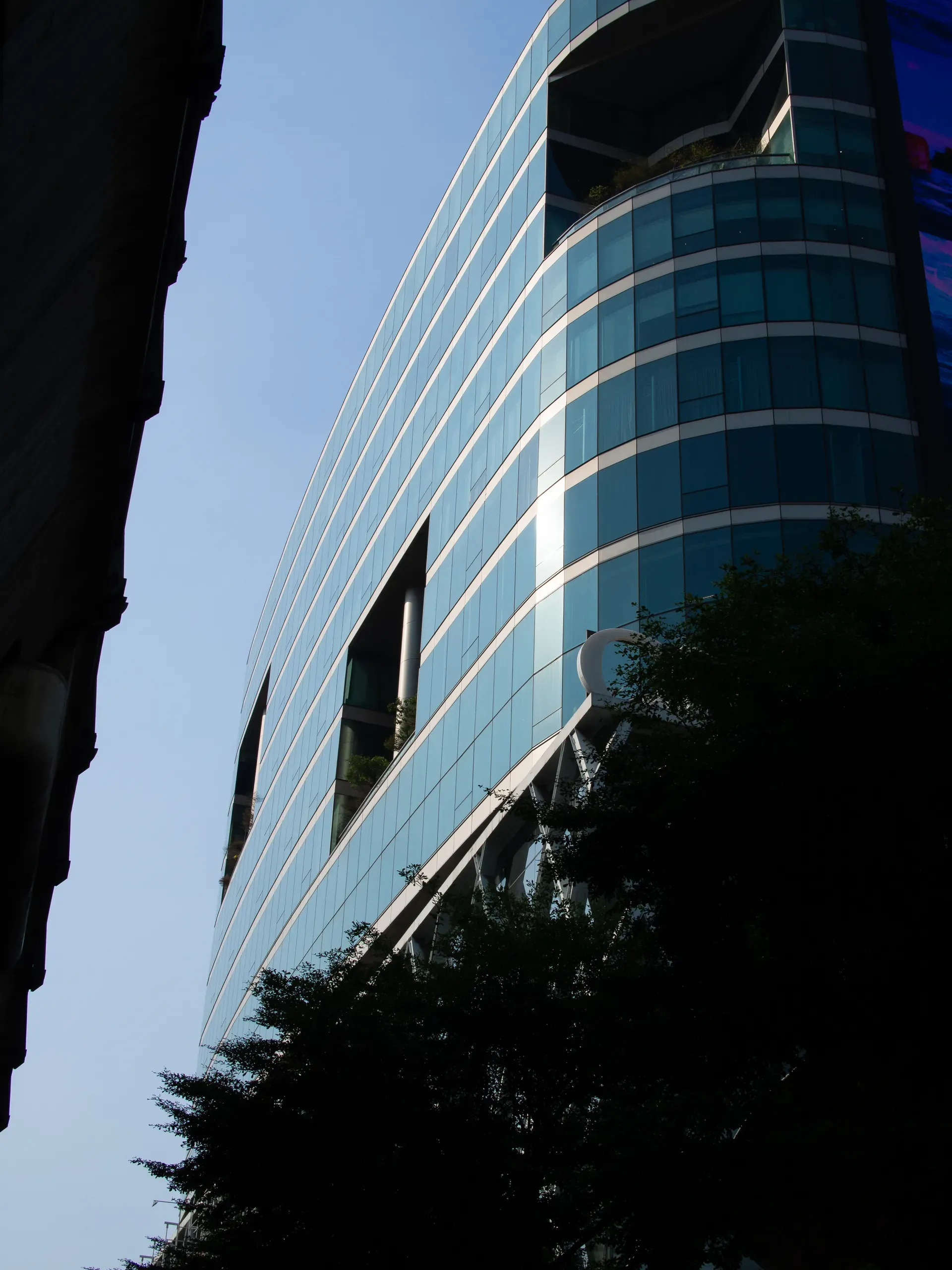 Photograph from the portfolio